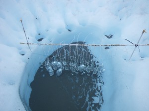Bio-incubation experiments for measuring nutrient fluxes on the Greenland ice sheet